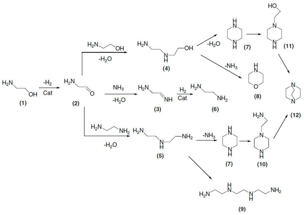 Process of producing ethylene diamine through liquid ammonia method