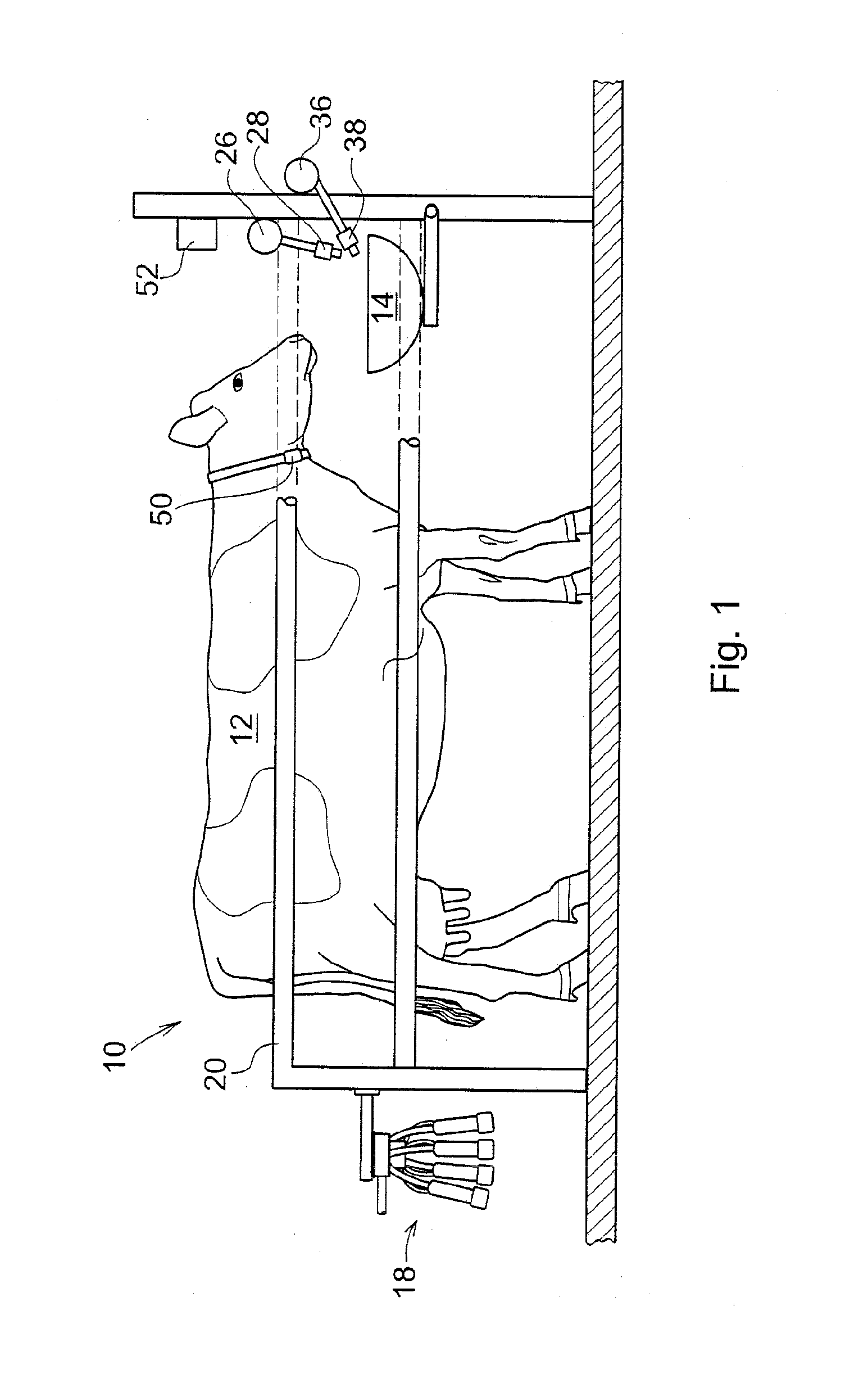 System for managing the supply of consumable matter to be consumed by milk producing animals