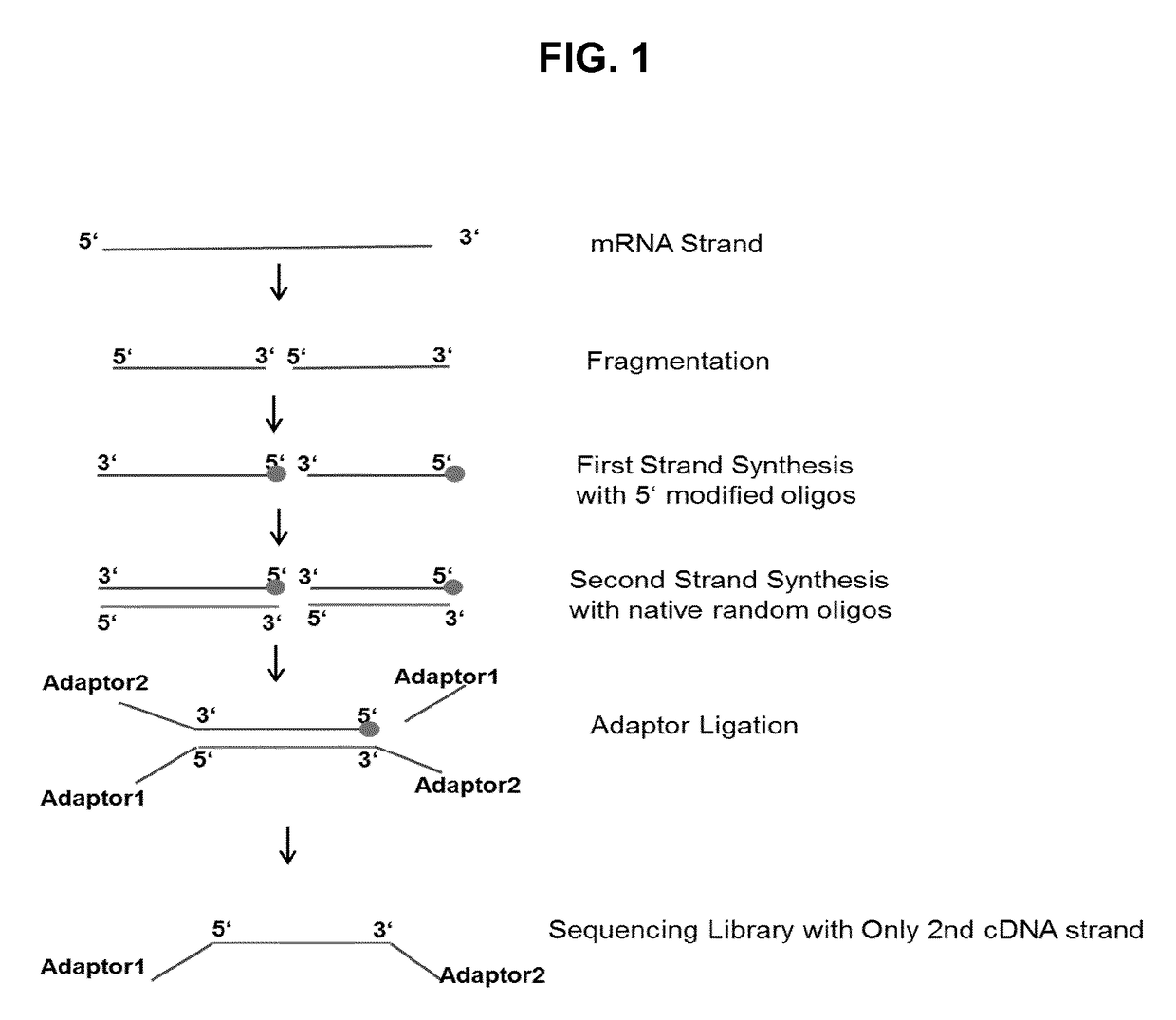 Method for generating a rna-sequencing library