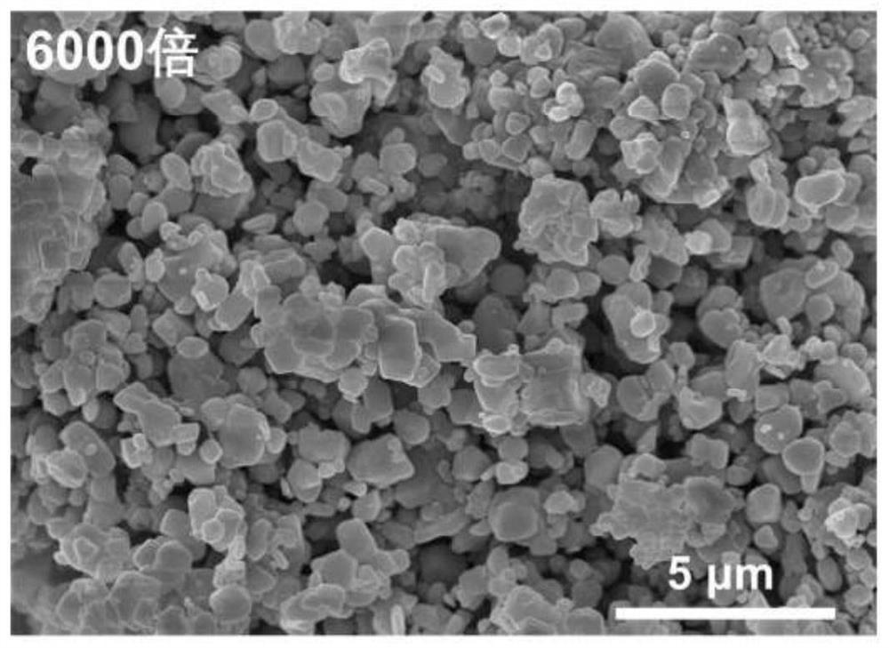 Anion-cation co-doped high-nickel single-crystal ternary positive electrode material as well as preparation method and application thereof