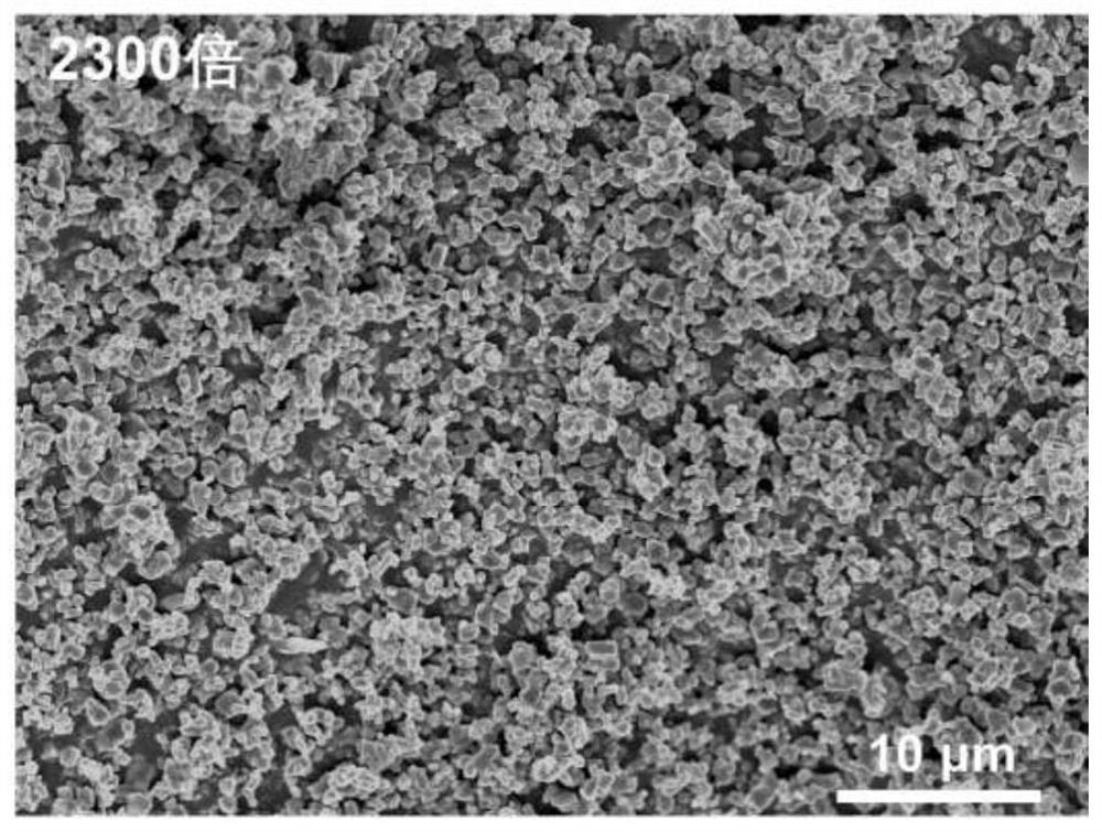 Anion-cation co-doped high-nickel single-crystal ternary positive electrode material as well as preparation method and application thereof