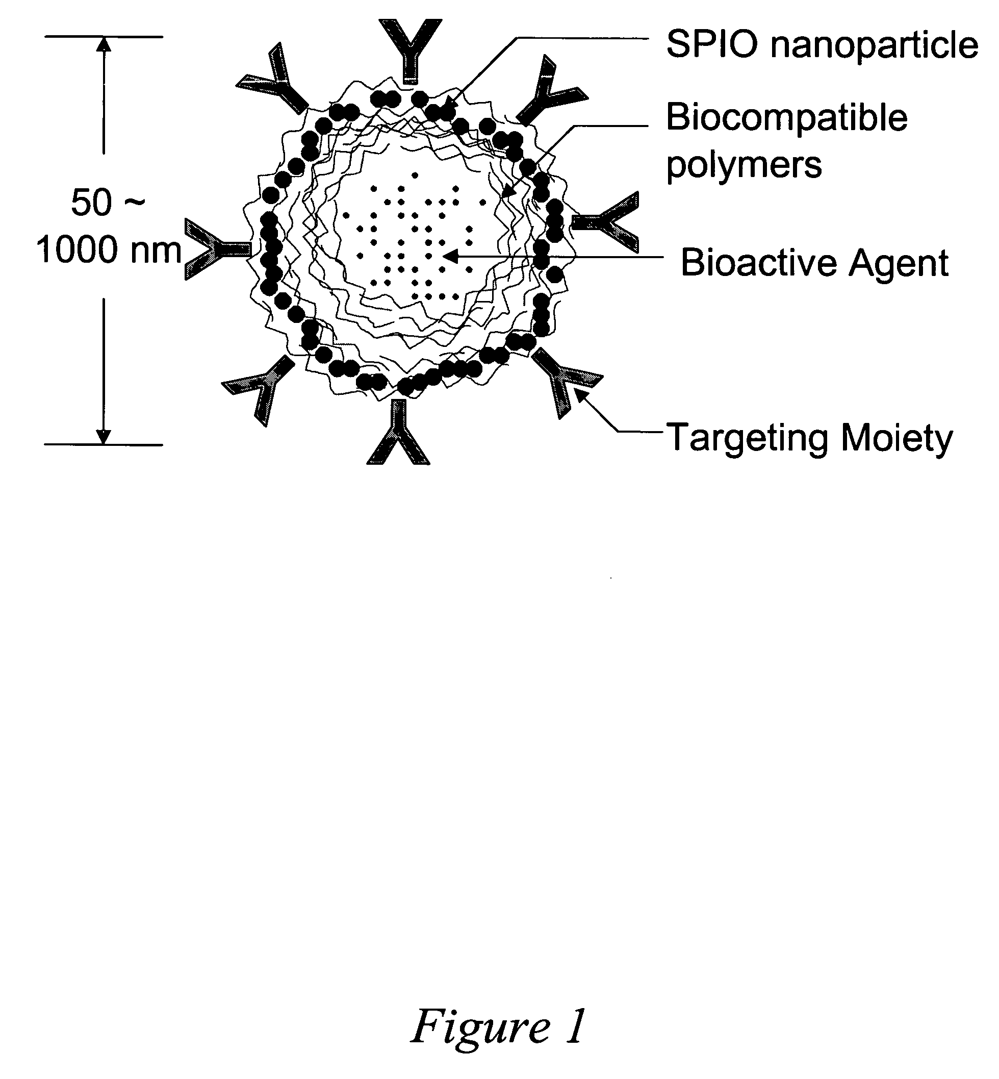Drug delivery system based on polymer nanoshells