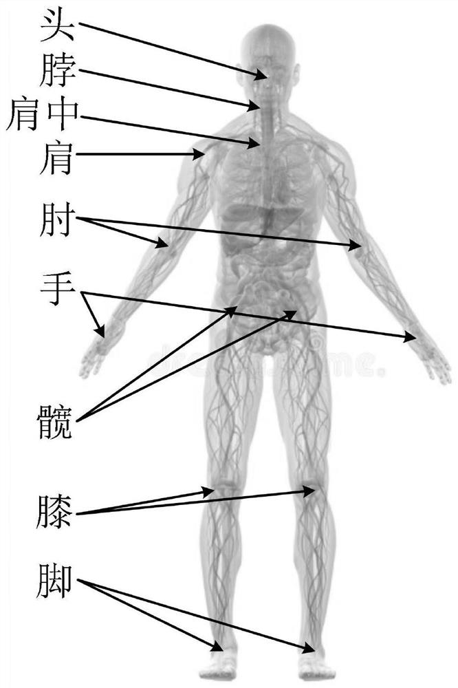 A human body posture visual recognition method for moving and carrying nursing robots