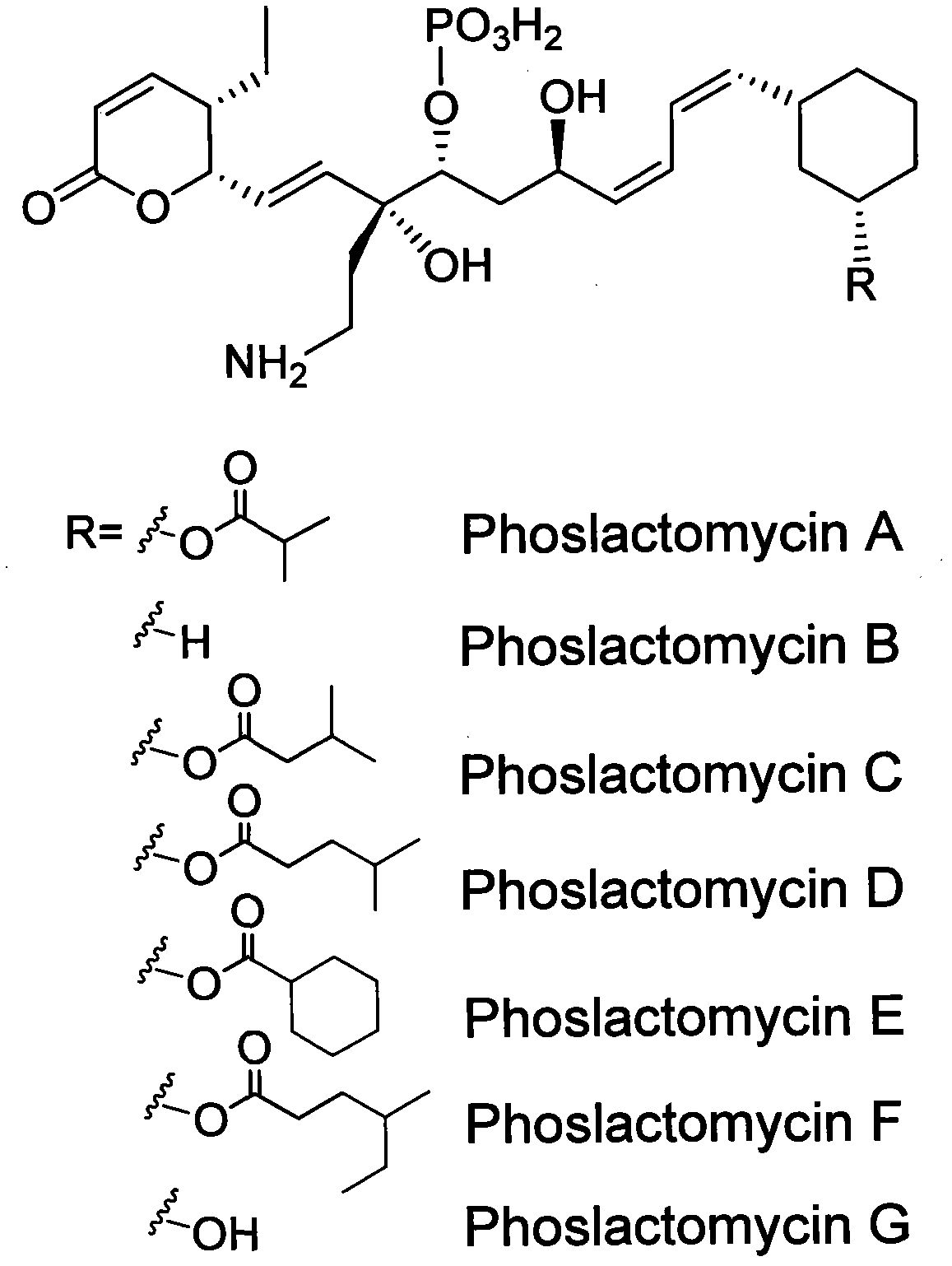 Biosynthetic gene cluster of phoslactomycins