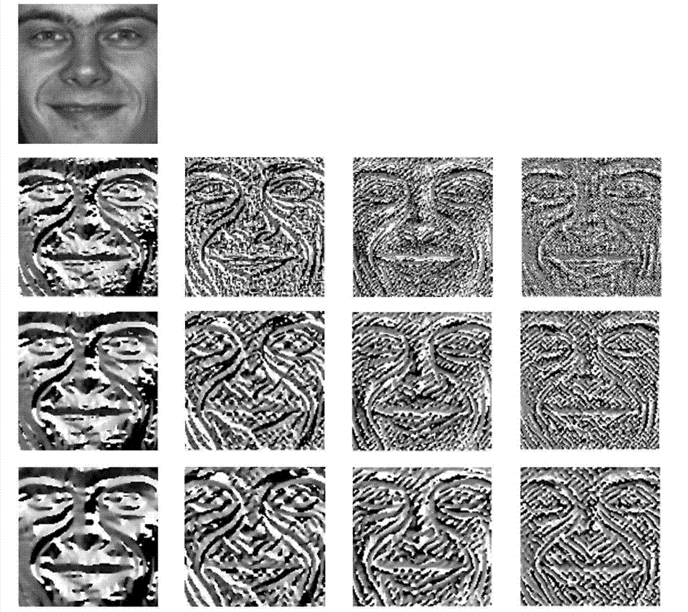 Phase encoding characteristic and multi-metric learning based vague facial image verification method