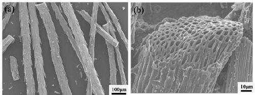 Preparation method and application of biomass-based activated carbon with porous channel and hierarchical pore structure