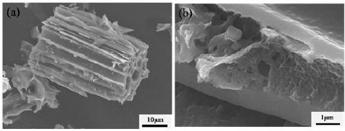 Preparation method and application of biomass-based activated carbon with porous channel and hierarchical pore structure