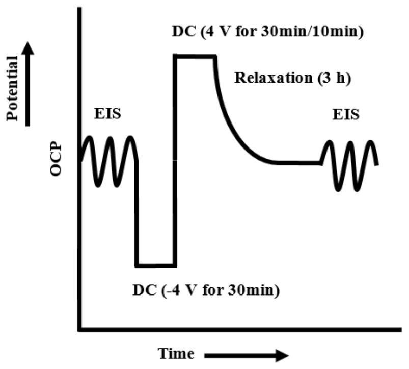 A Method for Accelerating Failure and Corrosion of Organic Coating/Metal Systems