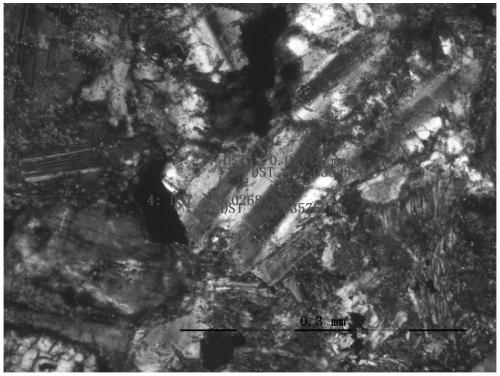 Identification method of neutral volcanic-andesite