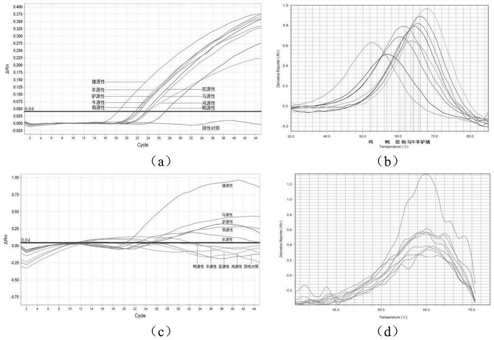 A common screening kit and detection method based on the animal -derived component of the melting curve technology