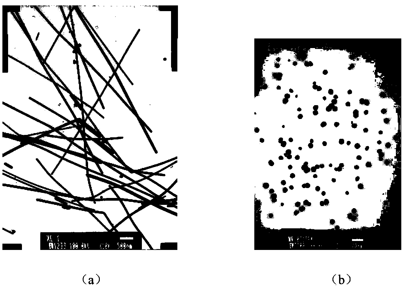 A kind of preparation method of block polymer-nanometer metal thin layer composite conductive material