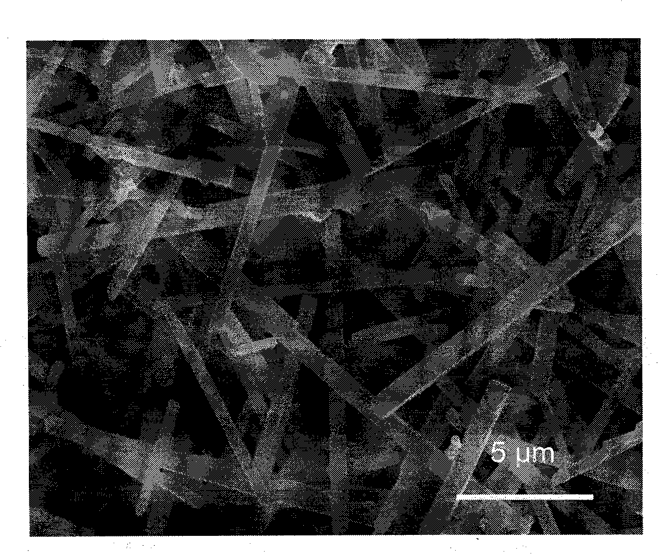 Preparation method of Beta-Si3N4 single crystal