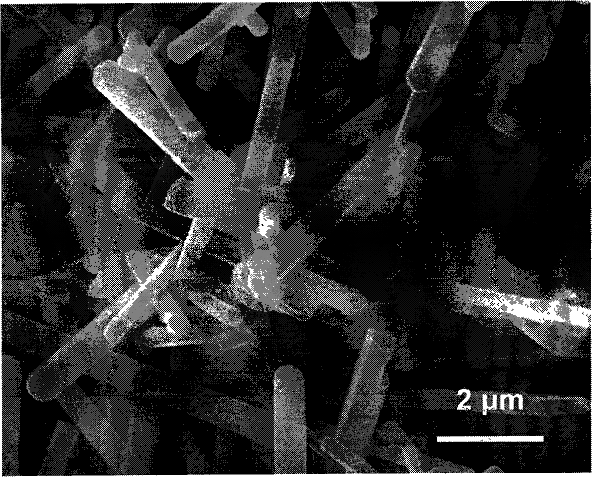 Preparation method of Beta-Si3N4 single crystal