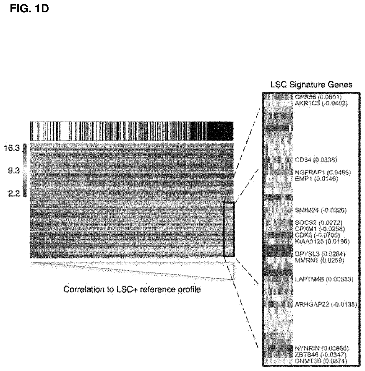 Method for identifying high-risk AML patients