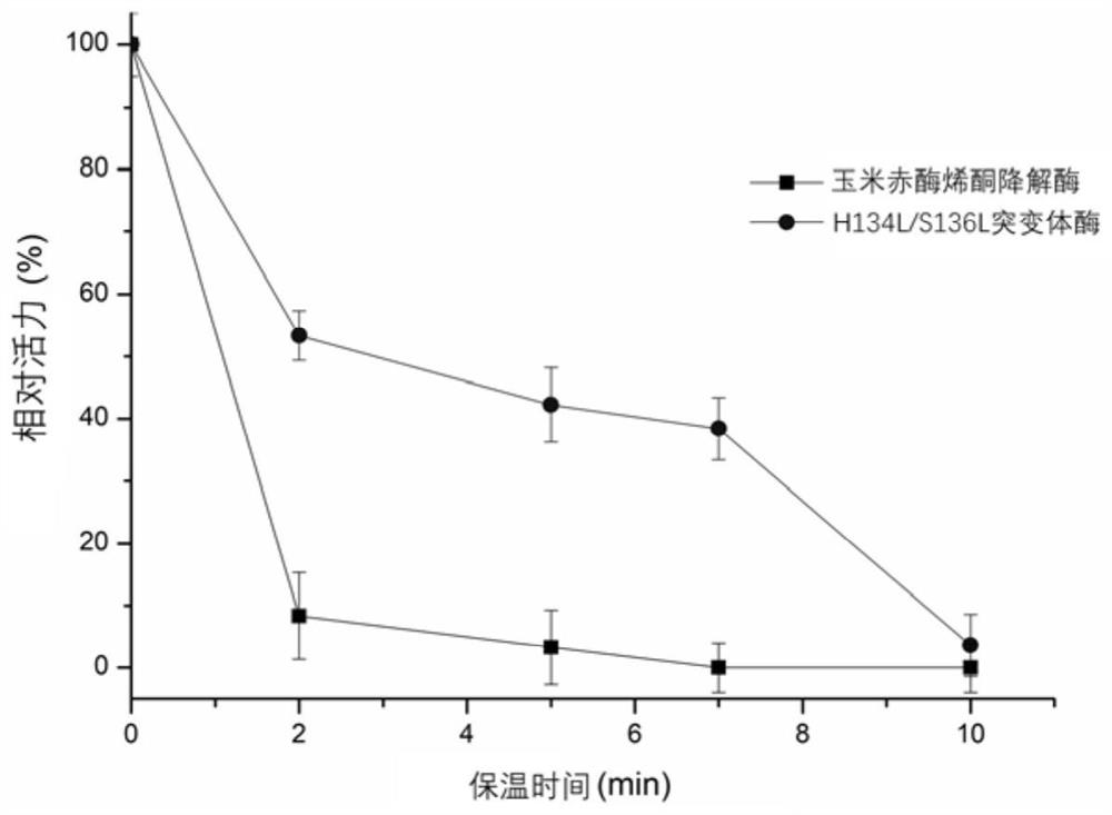 A kind of zearalenone degrading enzyme mutant with improved thermostability and application thereof