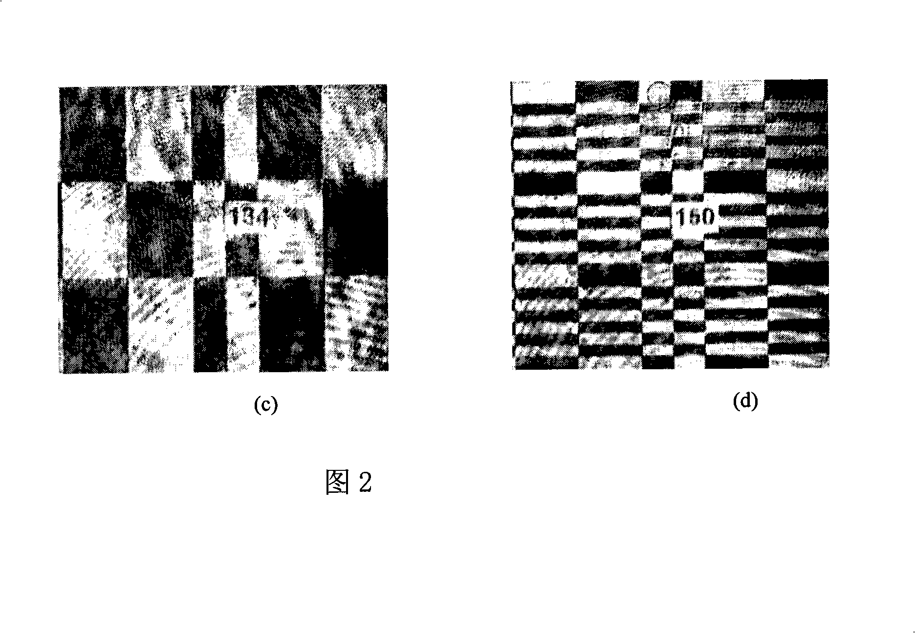 Rapid reading out system and method of holographic data storage