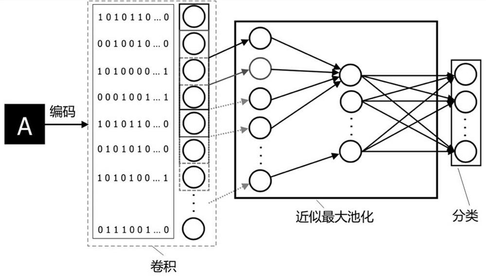 Image recognition method and system based on brain-like computing platform