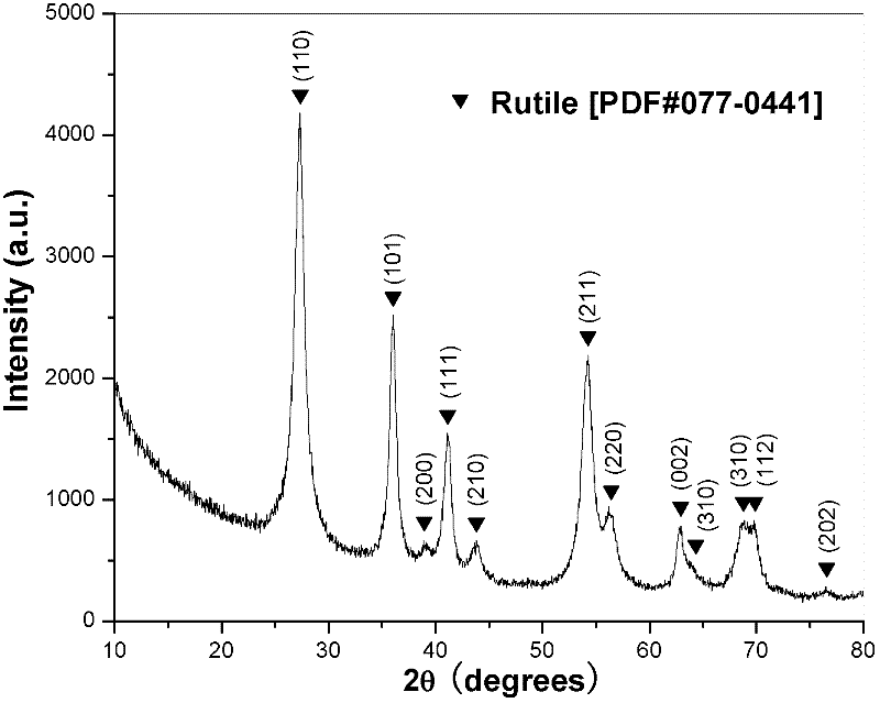 Sunlight-induced method for preparing fasciculate rutile titanium dioxide