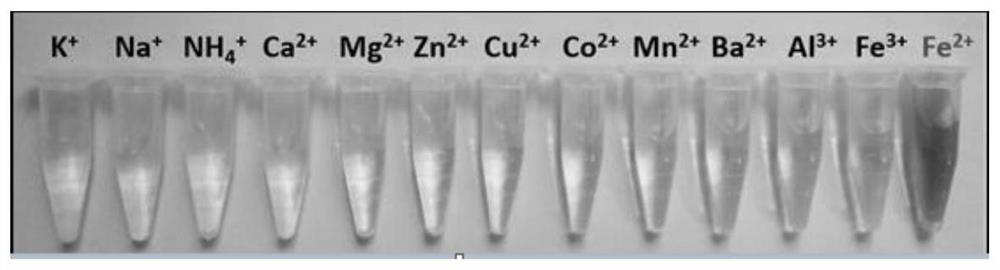 A kind of nitrite detection method based on carbon nitride quantum dots