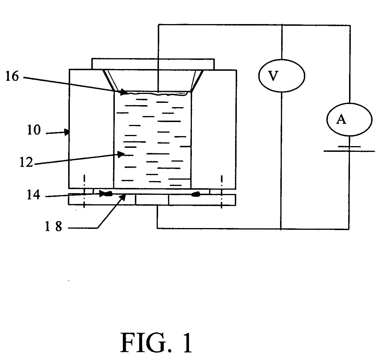 DNA biochip and methods of use