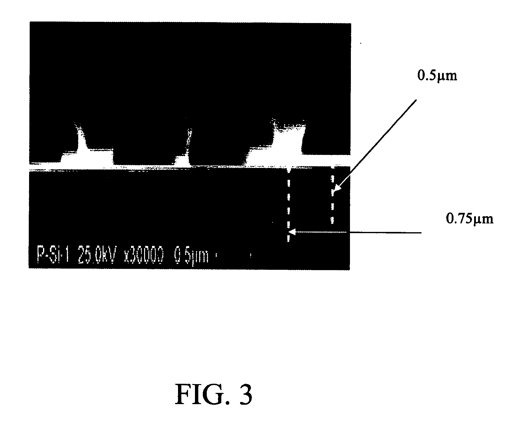 DNA biochip and methods of use