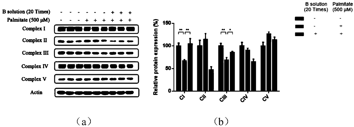Drug for improving function of aortic endothelial cells and application thereof