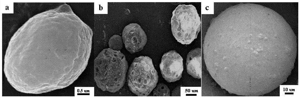 Magnetic microzyme surface imprinted adsorbent for selectively separating cefalexin as well as preparation method and application thereof