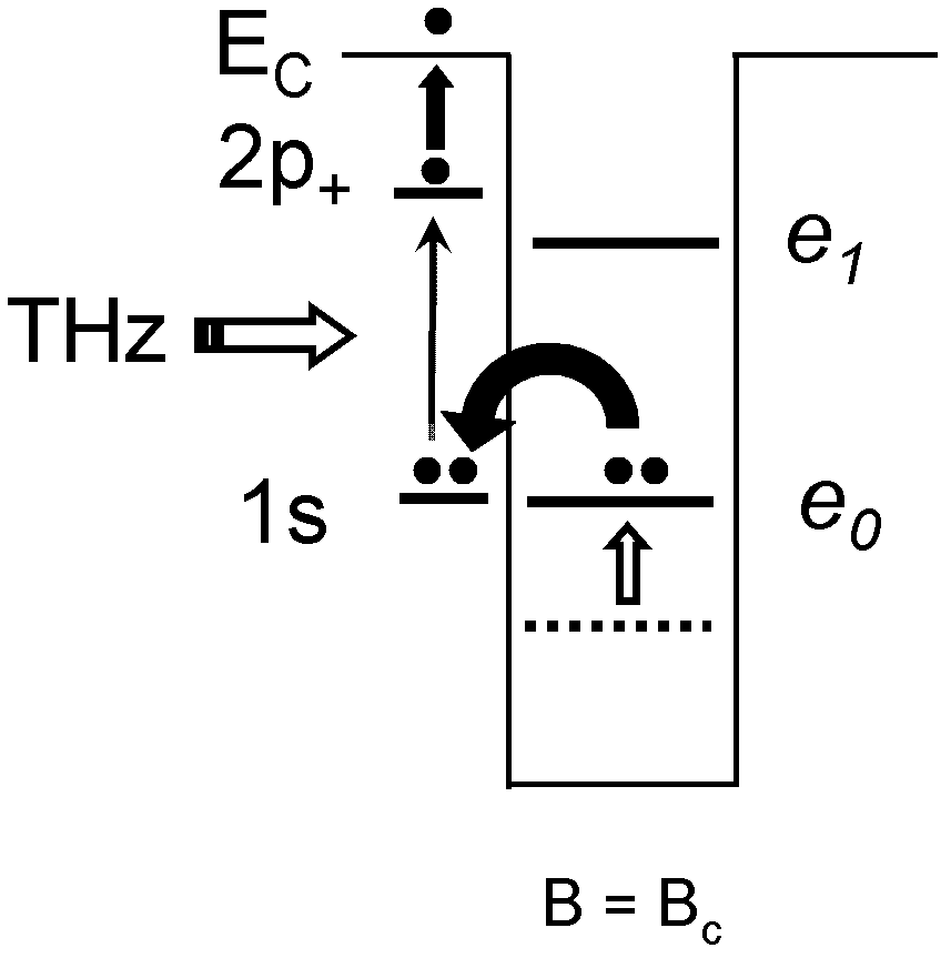 A Quantum Well Terahertz Detector