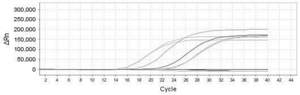 A kind of multiplex fluorescent PCR detection kit of hand, foot and mouth disease virus, and application