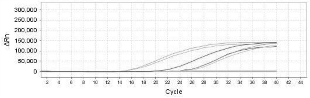 A kind of multiplex fluorescent PCR detection kit of hand, foot and mouth disease virus, and application