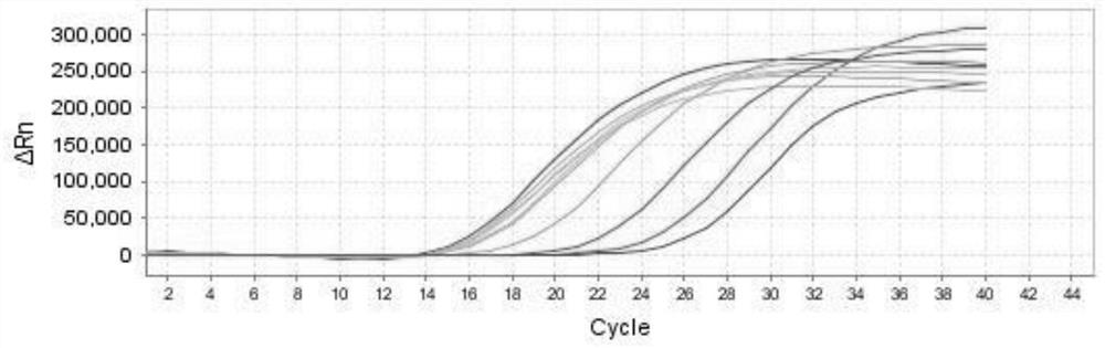 A kind of multiplex fluorescent PCR detection kit of hand, foot and mouth disease virus, and application