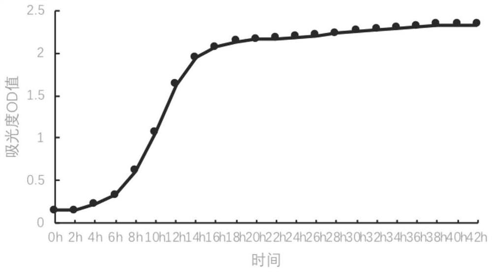 Lactobacillus sakei and application thereof