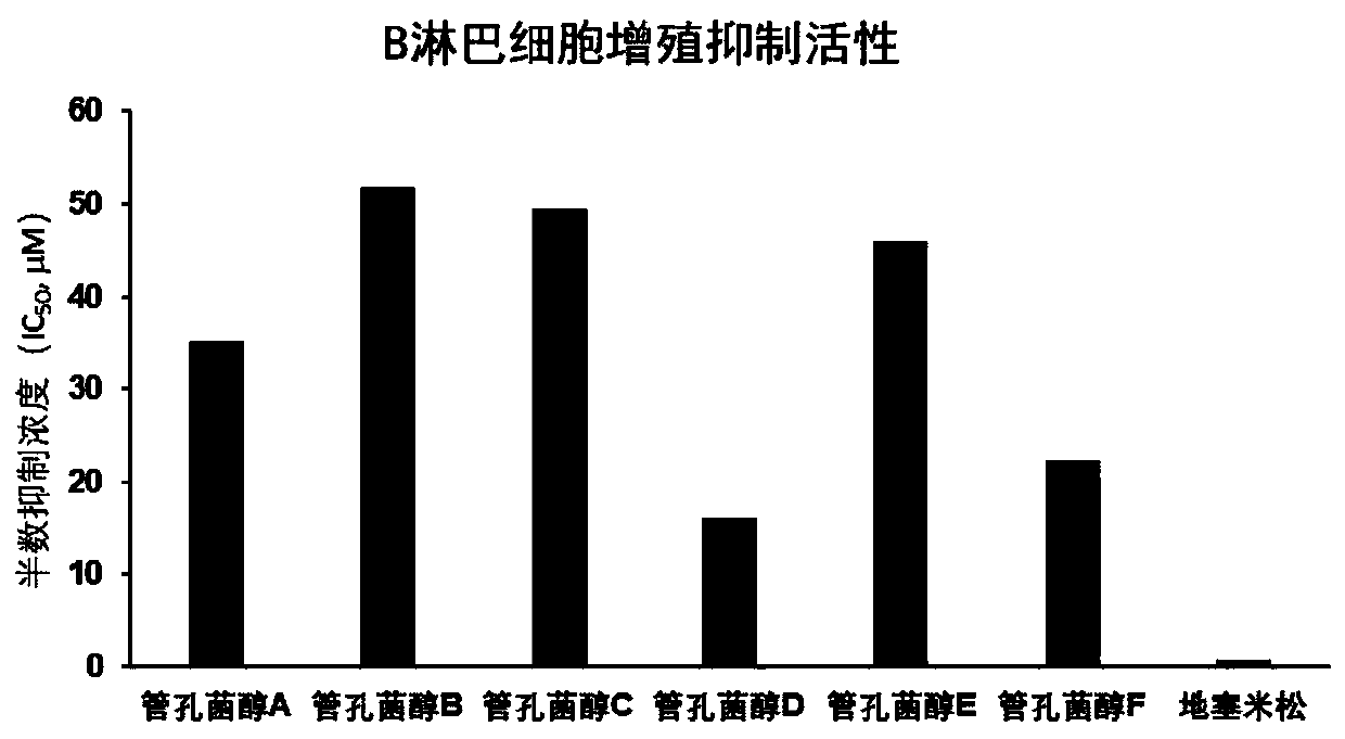 Application of class of norditerpenoid compounds Guankongjunchun derived from pitoporus betulinus