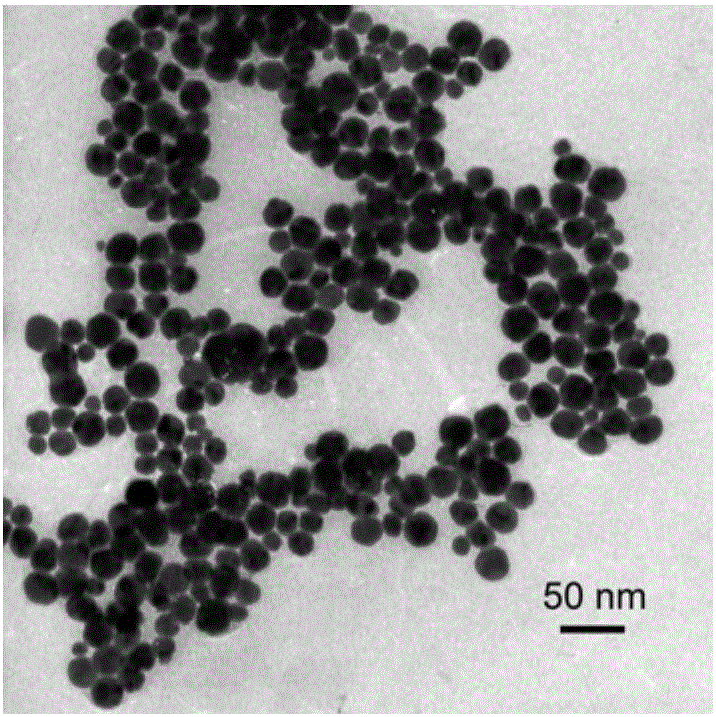 A kind of preparation method of silver-zinc oxide nanocomposite structure