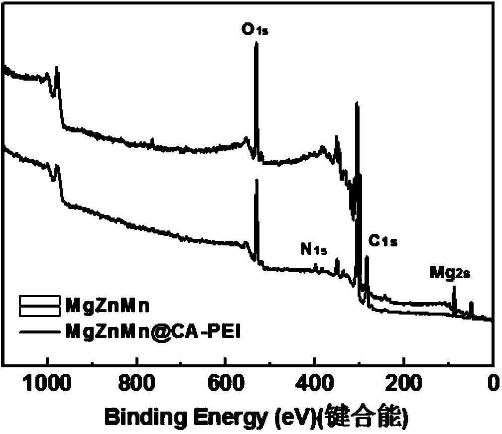 Modification method for improving corrosion resistance and surface functionalization of biomedical magnesium-based metal material