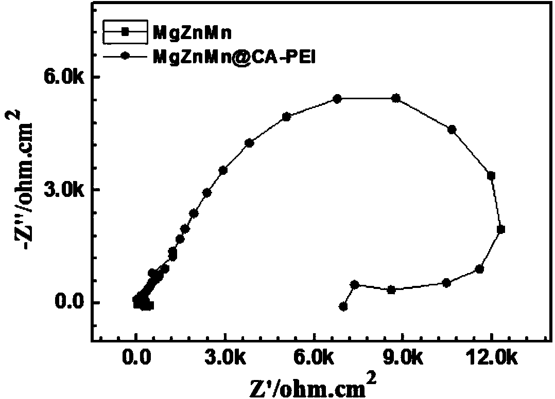 Modification method for improving corrosion resistance and surface functionalization of biomedical magnesium-based metal material