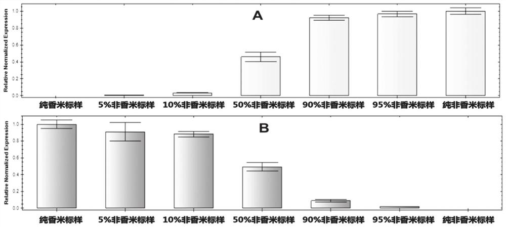 Quantitative detection method for purity of fragrant rice based on molecular biology and detection kit thereof