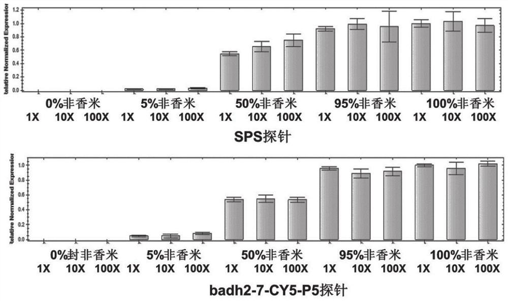 Quantitative detection method for purity of fragrant rice based on molecular biology and detection kit thereof