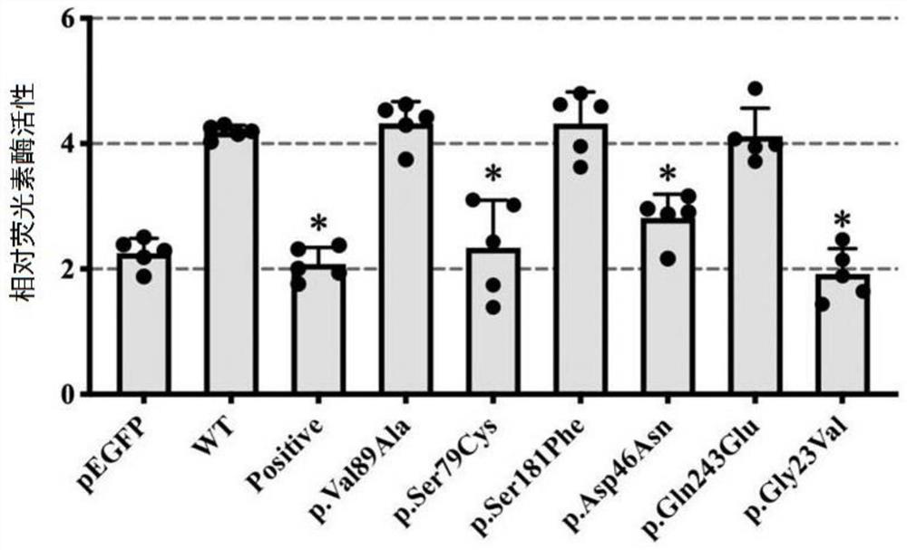 Diagnostic marker for MRKH syndrome and application thereof