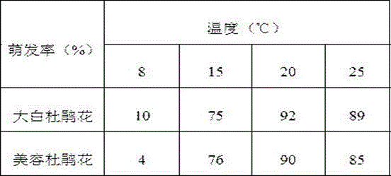 Azalea seedling culture method