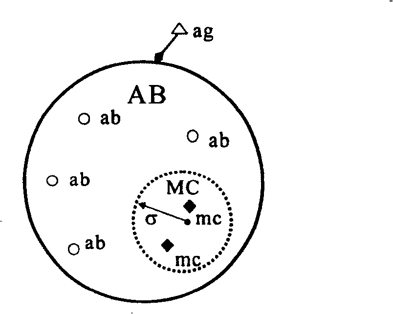 Not supervised classification process of artificial immunity in remote sensing images