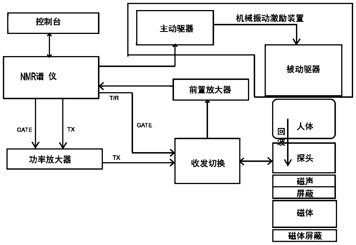 Portable nuclear magnetic resonance organ elasticity non-invasive quantitative detection method