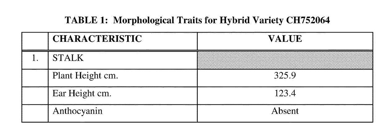 Plants and seeds of hybrid corn variety ch752064