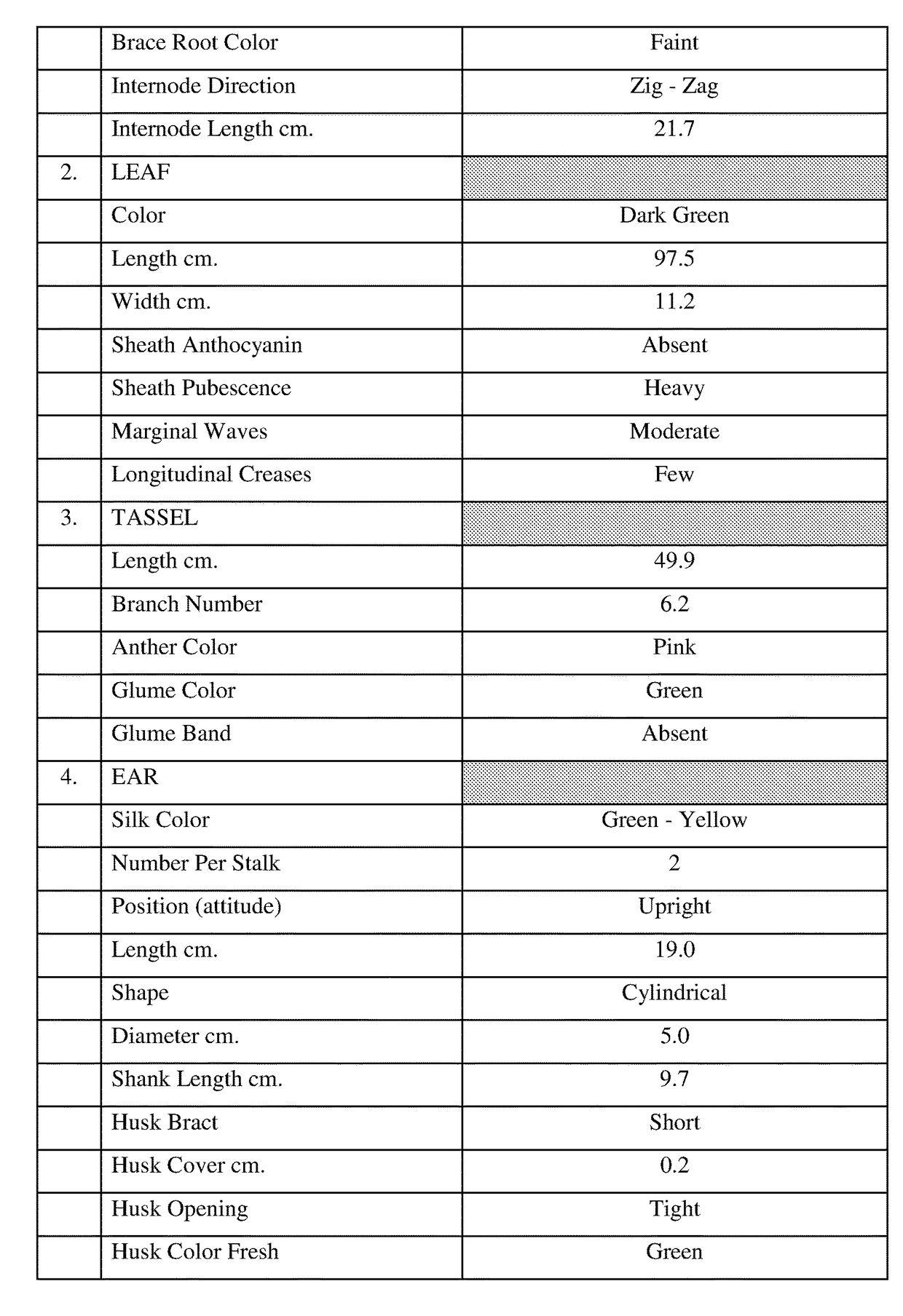 Plants and seeds of hybrid corn variety ch752064