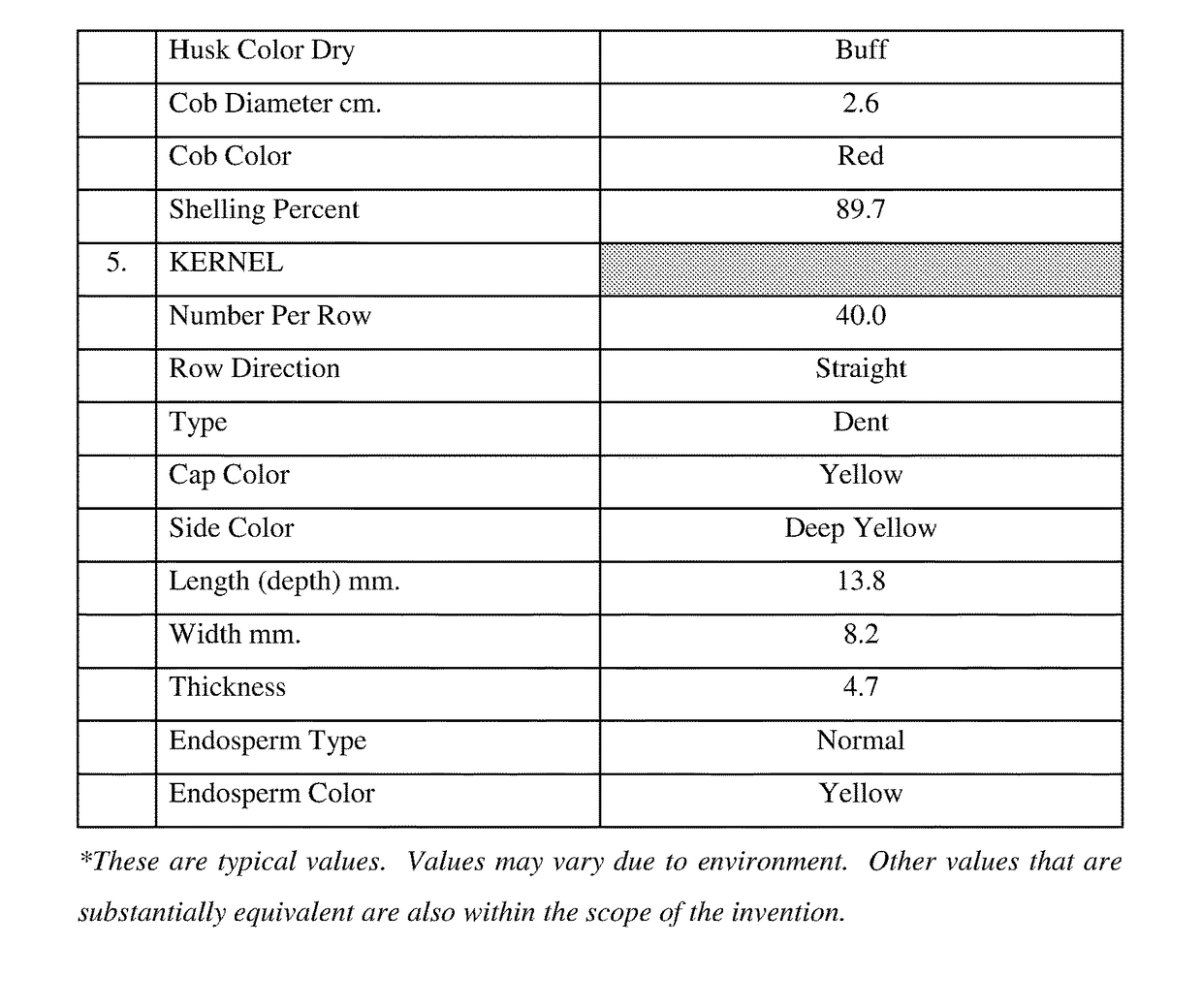 Plants and seeds of hybrid corn variety ch752064