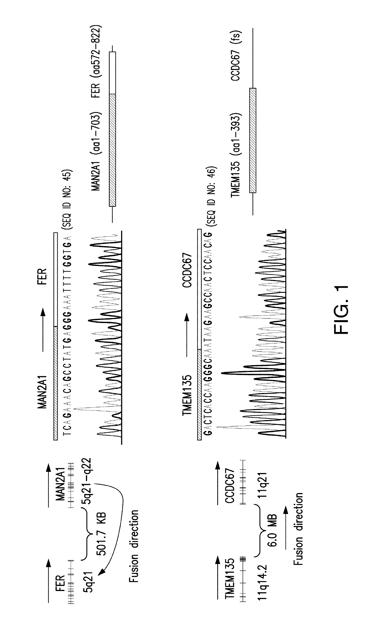Methods for treating cells containing fusion genes