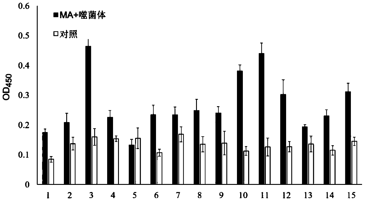 Polypeptide specially bound with mycobacterium tuberculosis, and coding gene and application of polypeptide