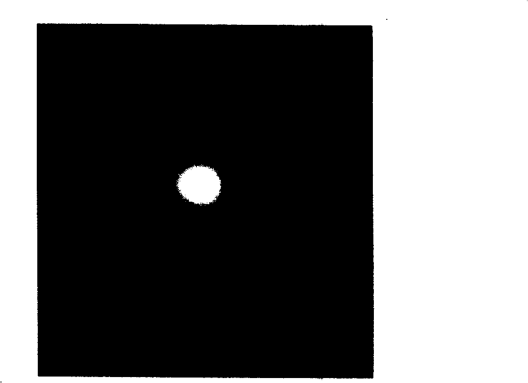 Adjustment device for eliminating offset error of tiled grating