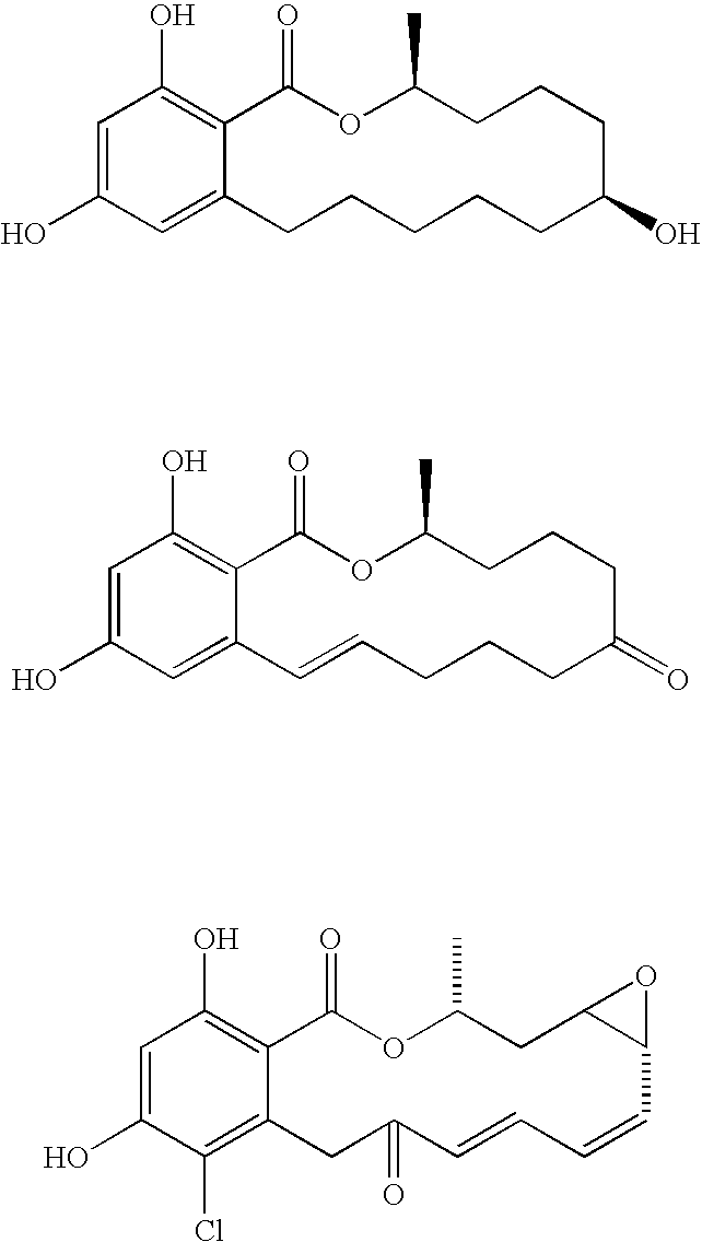 Hsp90-inhibiting zearalanol compounds and methods of producing and using same