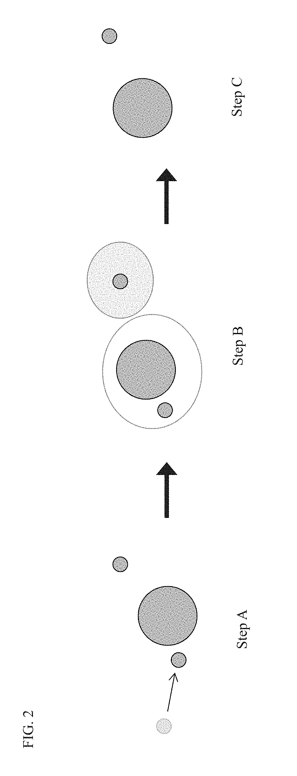 Compositions and methods for immune repertoire sequencing